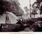 Tents at Camp Shady Shore