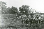 School Gardens - World War I