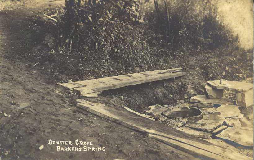 Demster Grove, Barker's Spring - Demster Grove, Barker's Spring