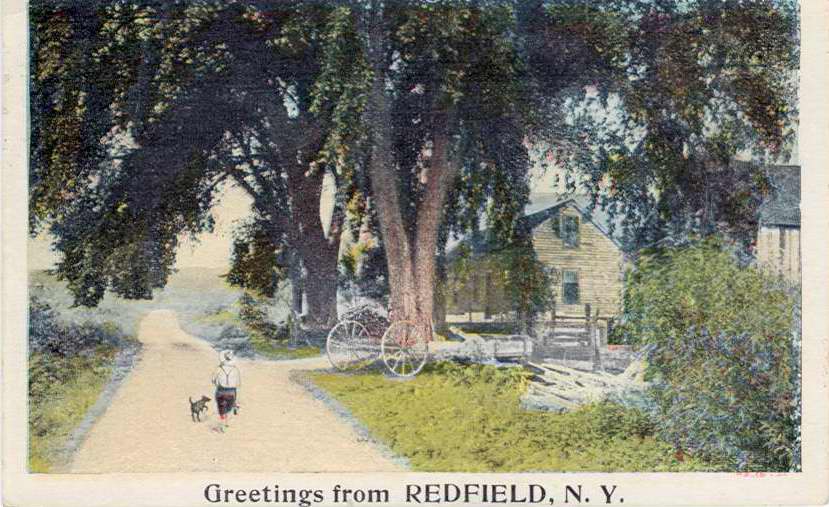 Color postcard with caption, "Greetings from Redfield, N.Y."  Handwritten note on back.  Stamped with Redfield postmark. - Page 1
