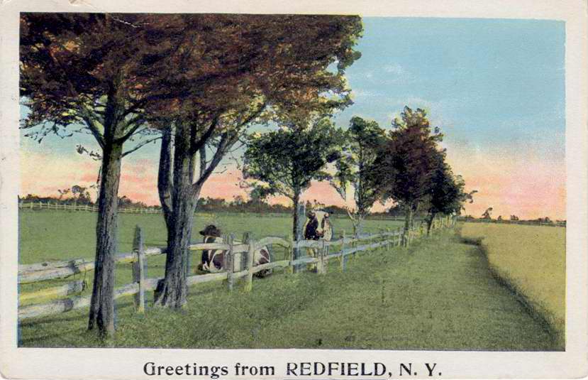 Color postcard with caption, "Greetings from Redfield, N.Y."  Rural scene with trees, cows, fence.  Handwritten note on back.  Stamped with Redfield postmark. - Page 1