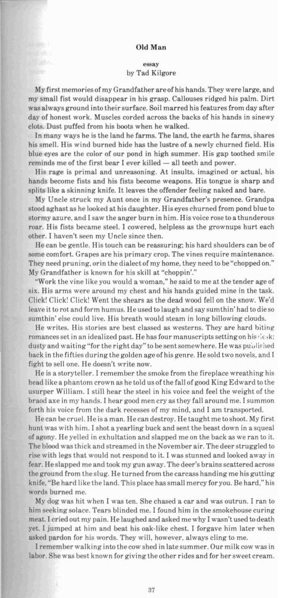 Great Lake Review - Spring 1989 - Page 37